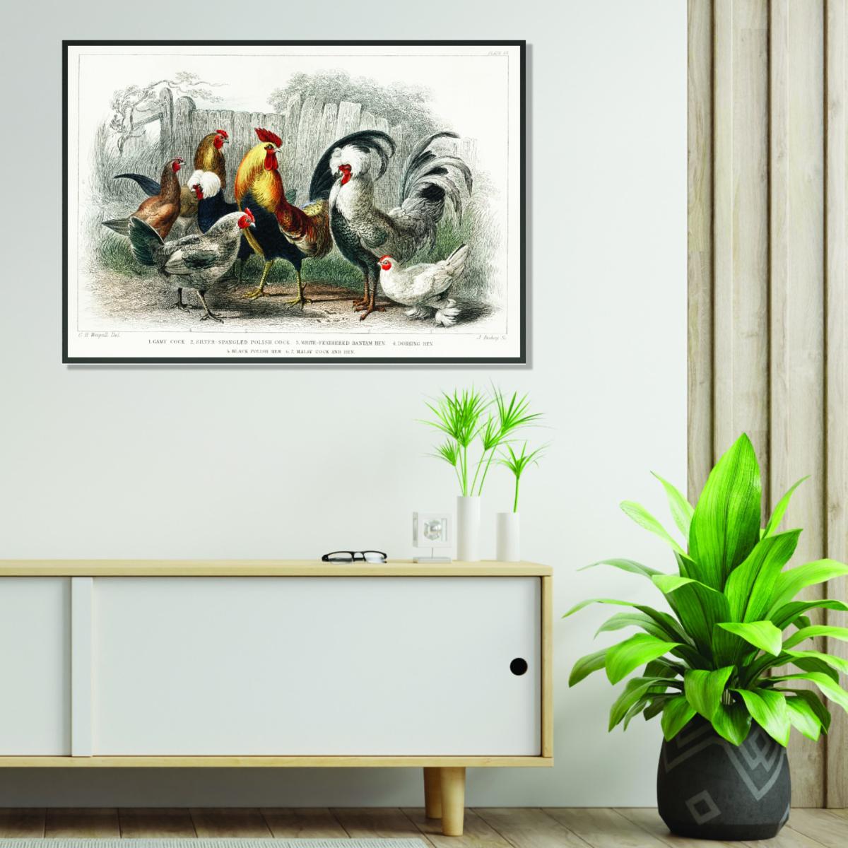 Cocks And Hens By Oliver Goldsmith - Multicolour A3 297 X 420Mm Stanley Print House – image 3