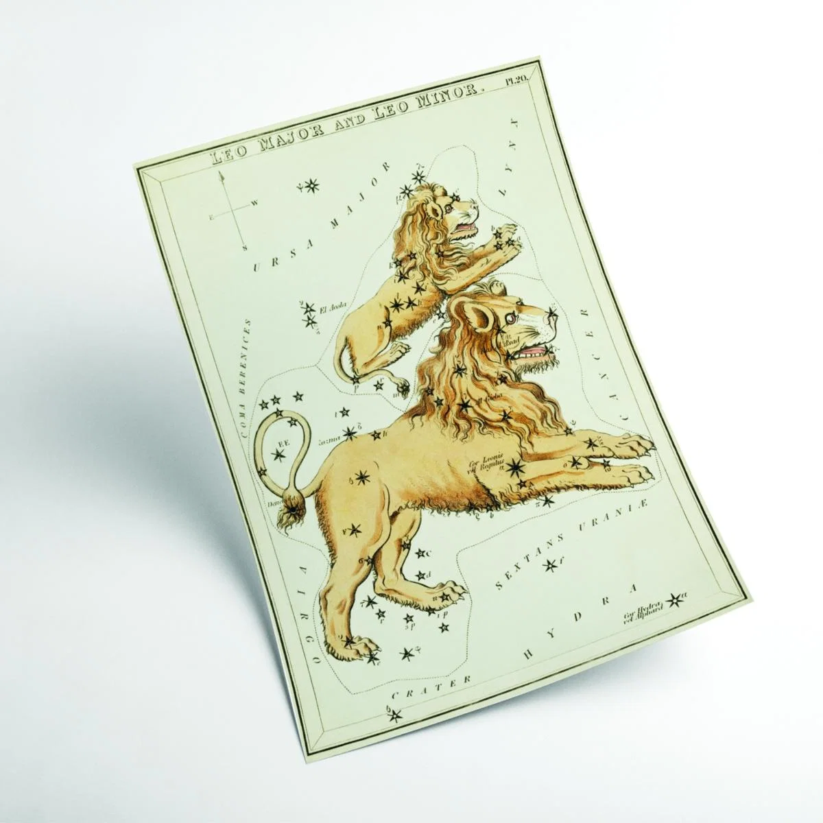 Gold Astronomical Chart Illustration Of The Leo Major & The Leo Minor Extra Small Stanley Print House – image 2