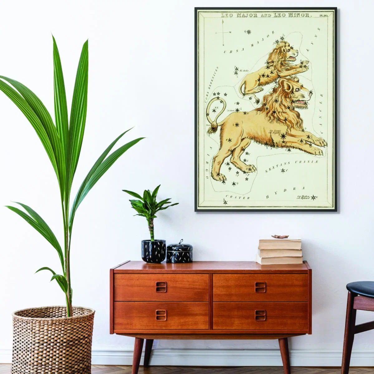 Gold Astronomical Chart Illustration Of The Leo Major & The Leo Minor Extra Small Stanley Print House – image 3