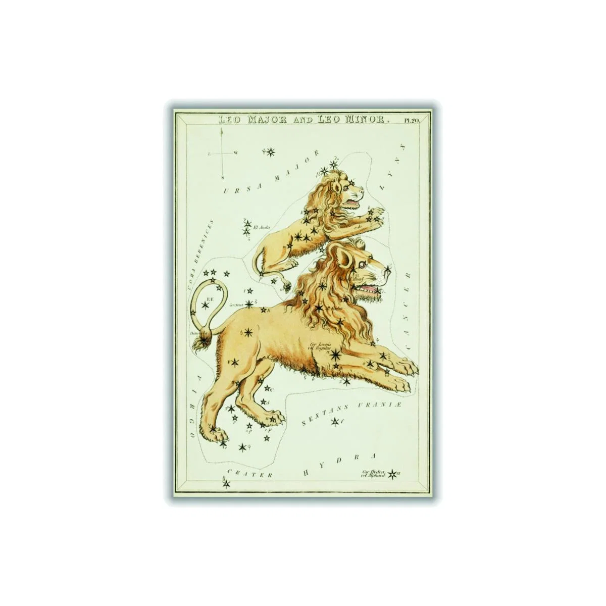 Gold Astronomical Chart Illustration Of The Leo Major & The Leo Minor Extra Small Stanley Print House – image 1