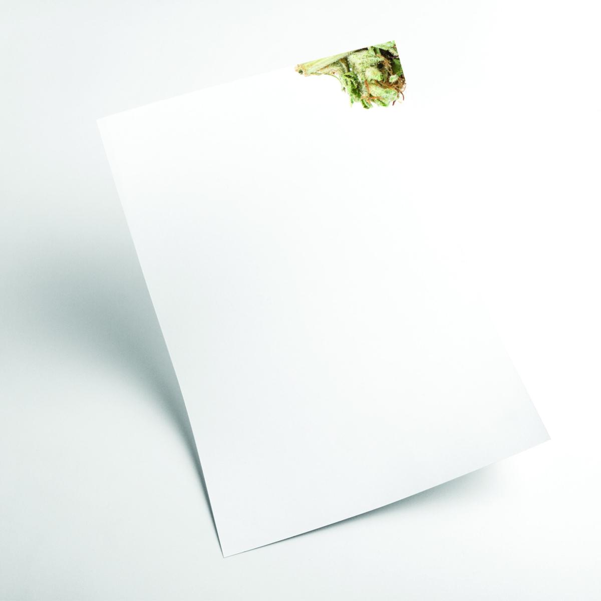 Green Girl Scout Cookies Strain Extra Large Stanley Print House – image 2