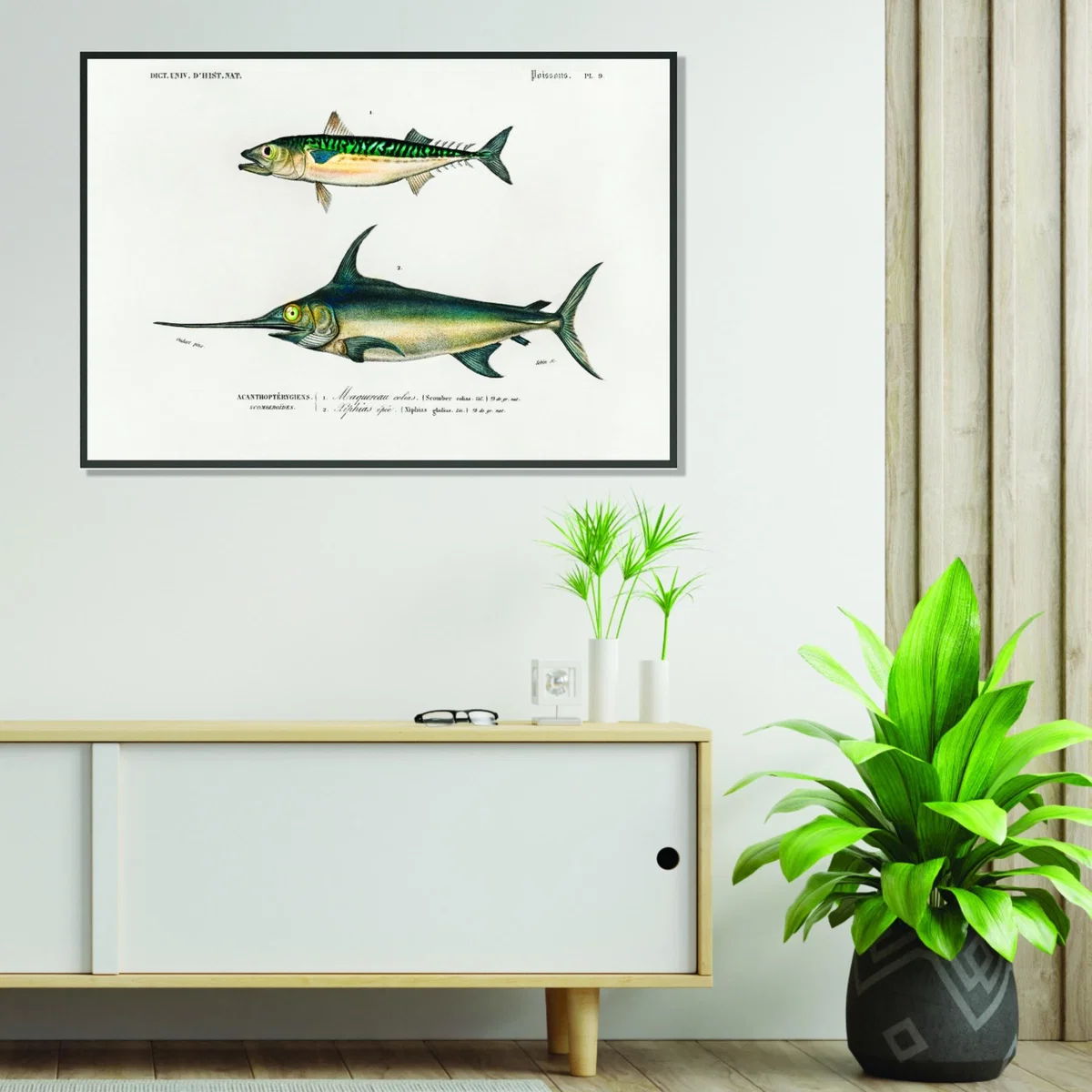 Different Types Of Fishes Iiii A3 297 X 420Mm Stanley Print House – image 3