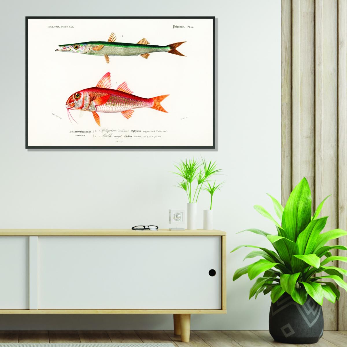 Different Types Of Fishes I Medium Stanley Print House – image 3