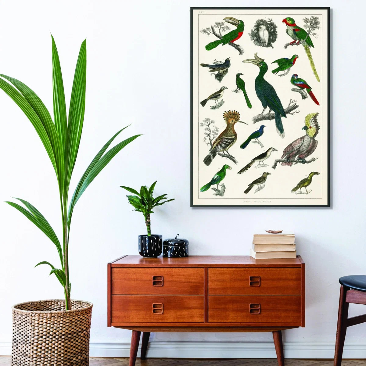 Parrots A1 594 X 841Mm Stanley Print House – image 3
