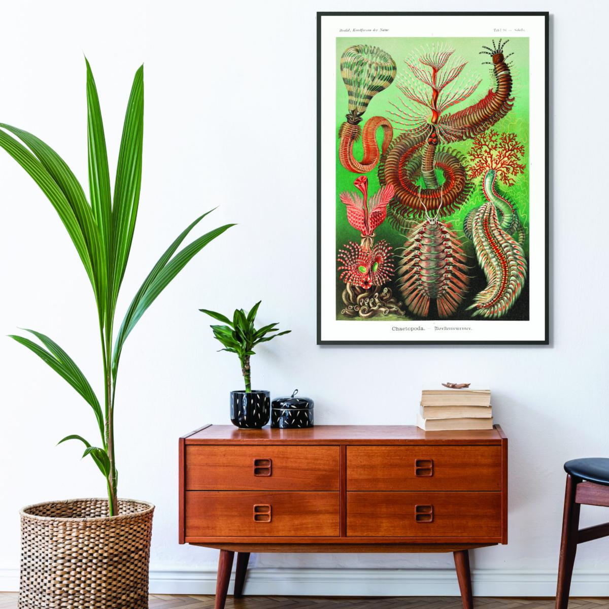 Green Chaetopoda-Borstenwürmer By Ernst Haeckel Extra Small Stanley Print House – image 3