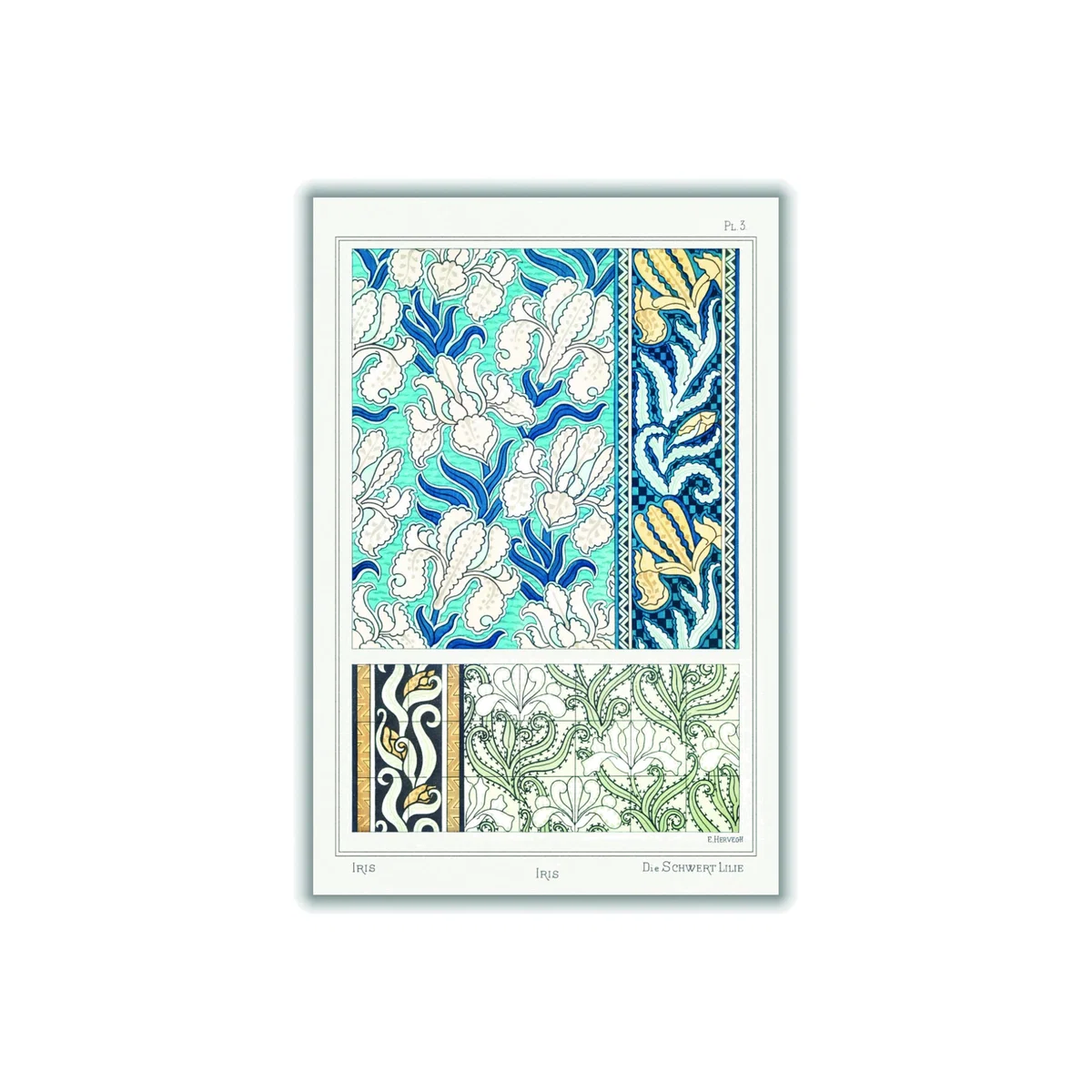 Blue Iris Ii Print By Maurice Pillard Verneuil A3 297 X 420Mm Stanley Print House – image 1