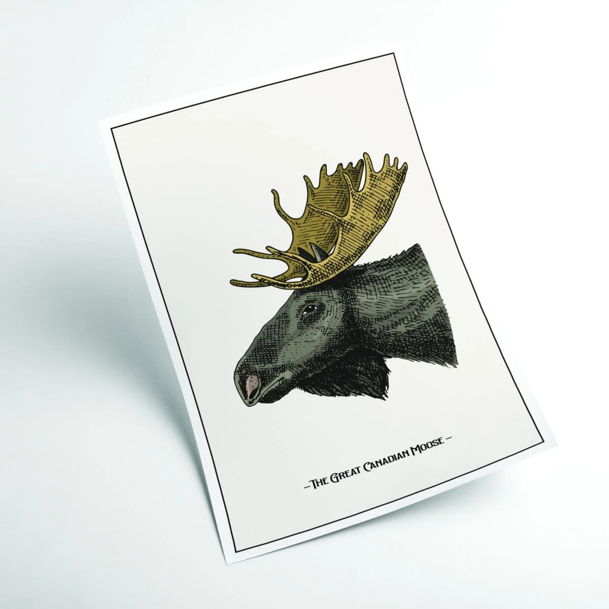 Brown The Great Canadian Moose A1 594 X 841Mm Stanley Print House – image 2