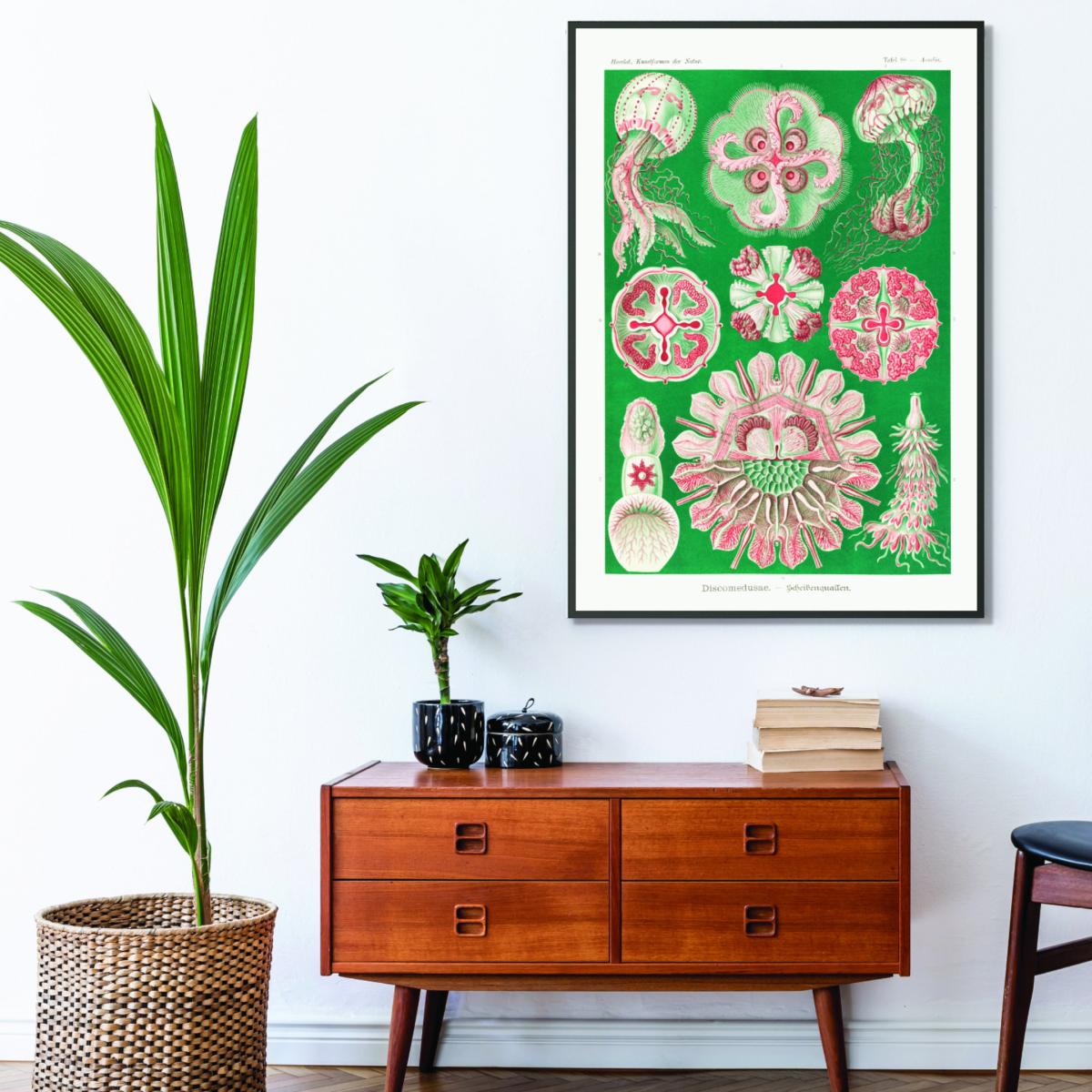 Pink / Purple Discomedusae-Scheibenquallen Iiii By Ernst Haeckel A4 210 X 297Mm Stanley Print House – image 3