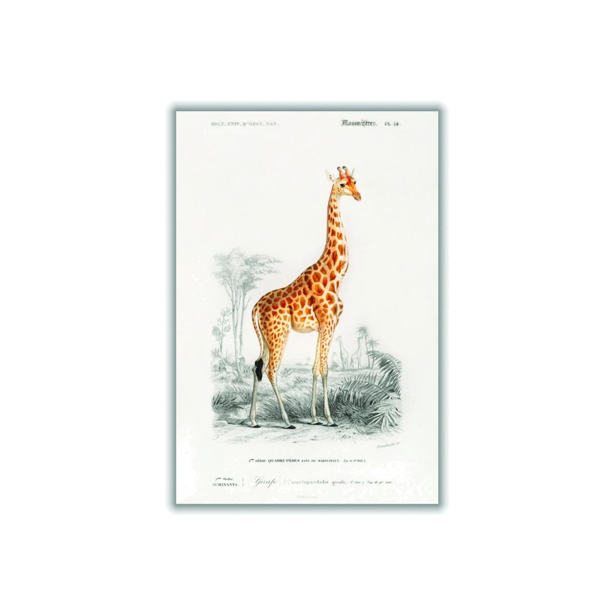 Yellow / Orange Giraffe Illustration Print Extra Small Stanley Print House – image 1