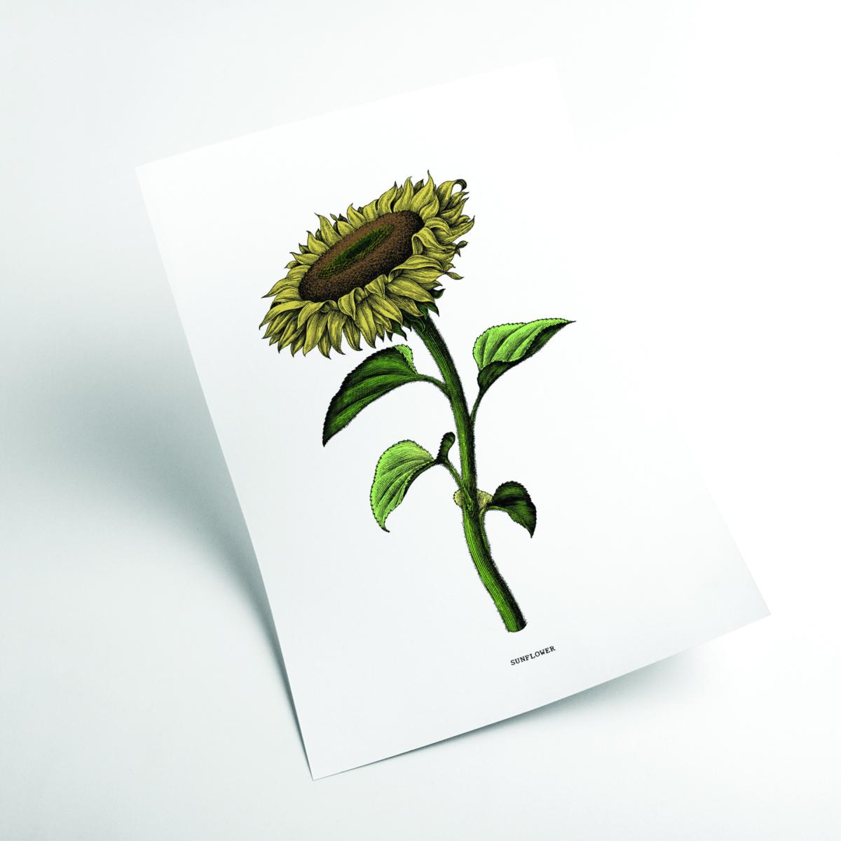 Green Sunflowers For President A1 594 X 841Mm Stanley Print House – image 2