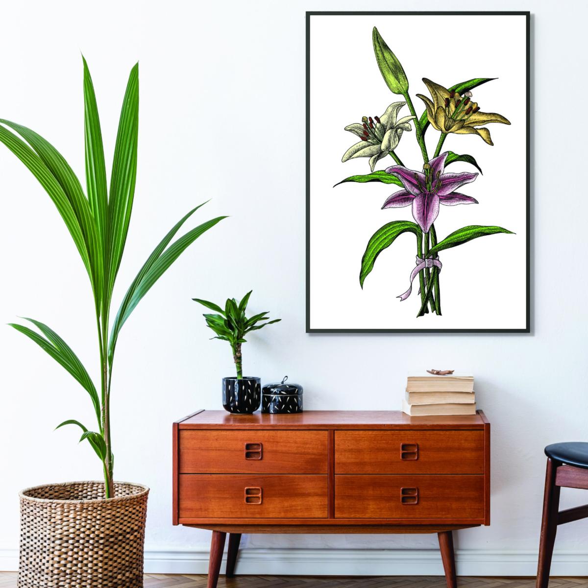 Vintage Lilly Illustration A3 297 X 420Mm Stanley Print House – image 3