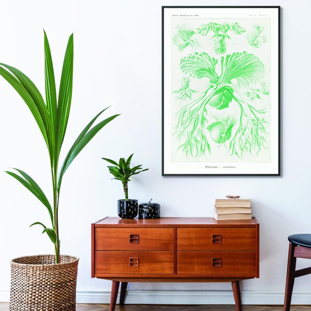 Green Filicinae-Laubfarne I By Ernst Haeckel A4 210 X 297Mm Stanley Print House – image 3