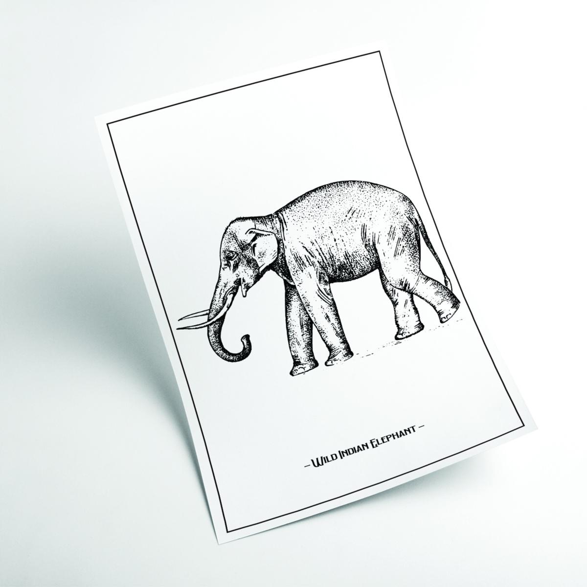 Black Wild Indian Elephant A3 297 X 420Mm Stanley Print House – image 2