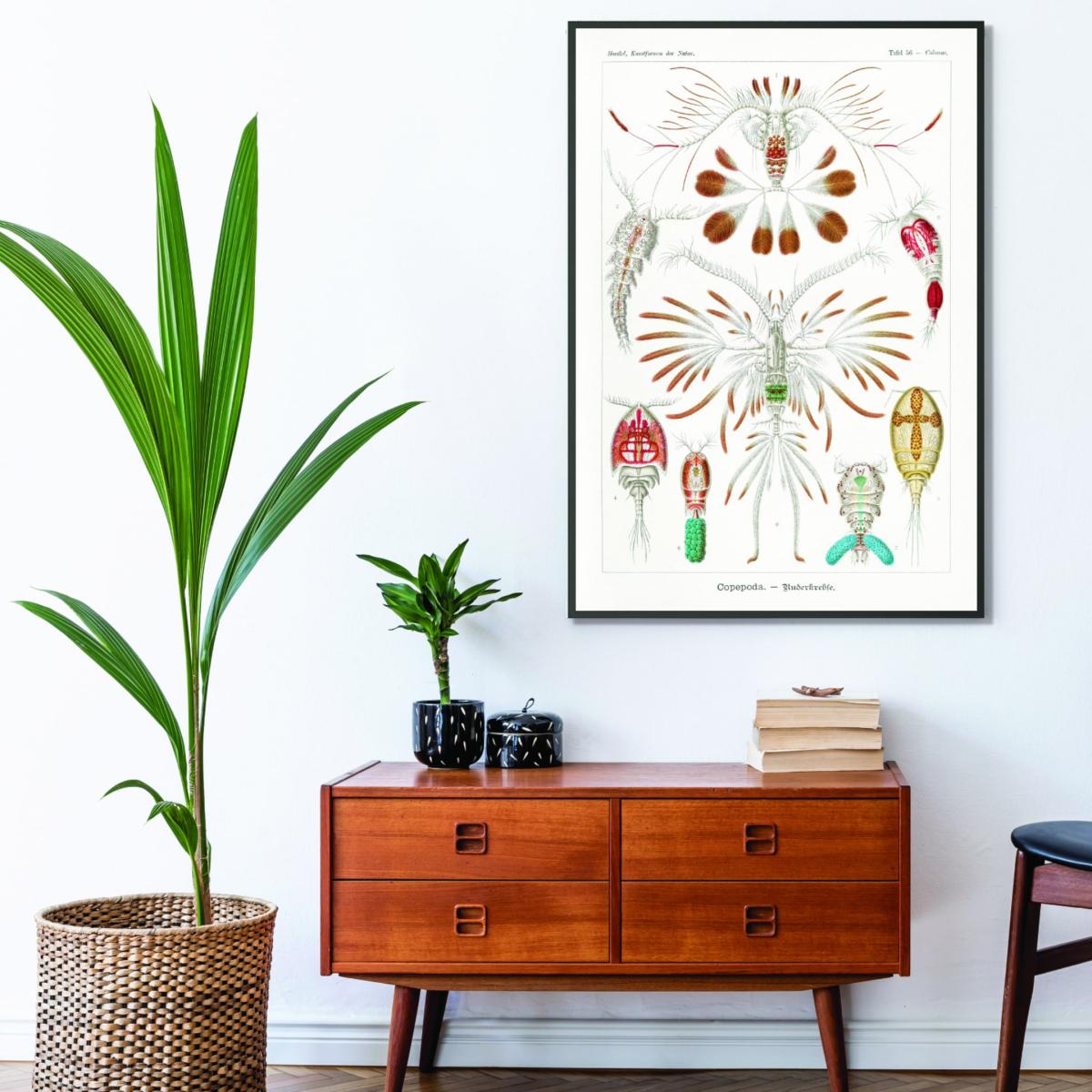 Copepoda-Ruderkrebse By Ernst Haeckel A2 420 X 594Mm Stanley Print House – image 3