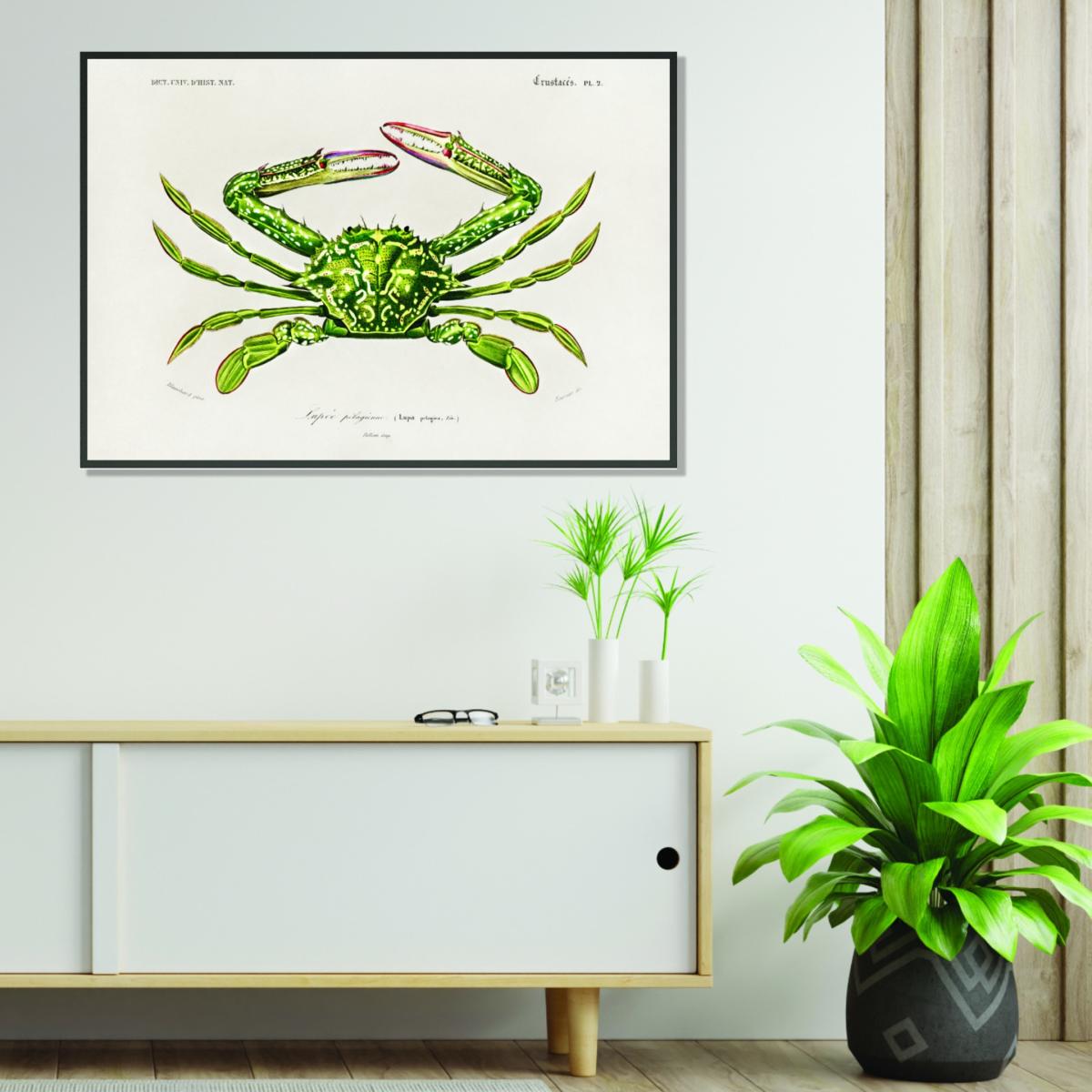 Green Portunus Small Stanley Print House – image 3