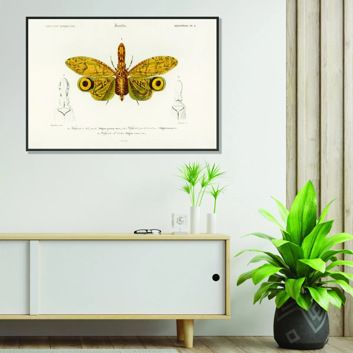 Yellow / Orange Fulgora Graciliceps A4 210 X 297Mm Stanley Print House – image 3