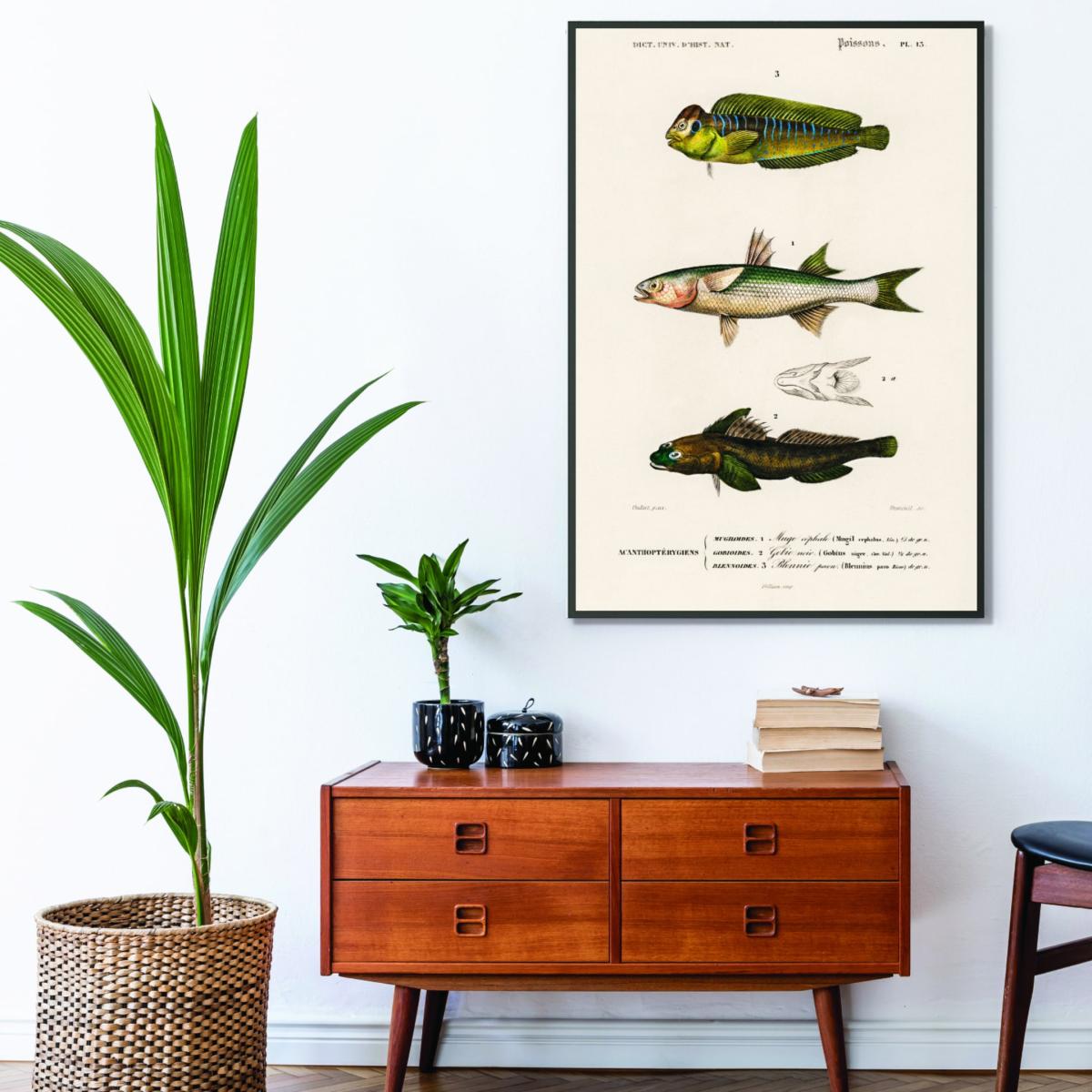 Green Natural History Different Types Of Fish 2 Extra Small Stanley Print House – image 3