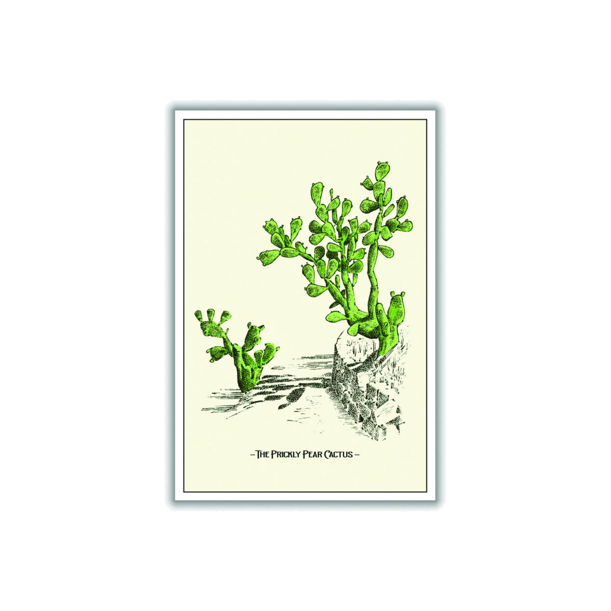 Green The Prickly Pear Cactus Extra Large Stanley Print House – image 1