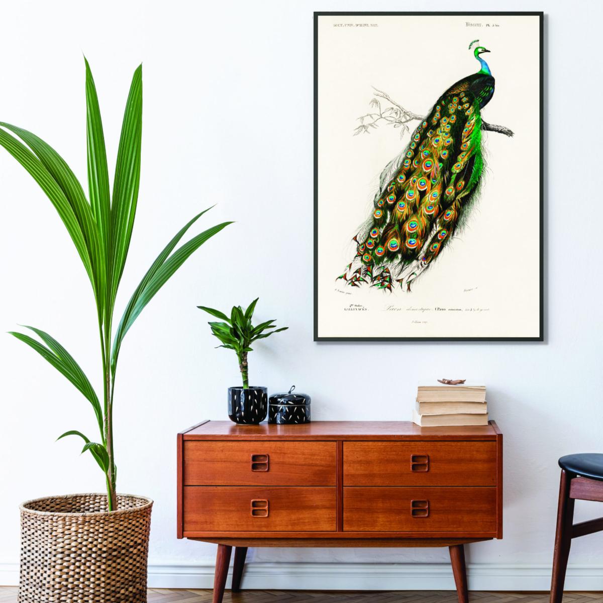 Green Peacock Illustration A4 210 X 297Mm Stanley Print House – image 3