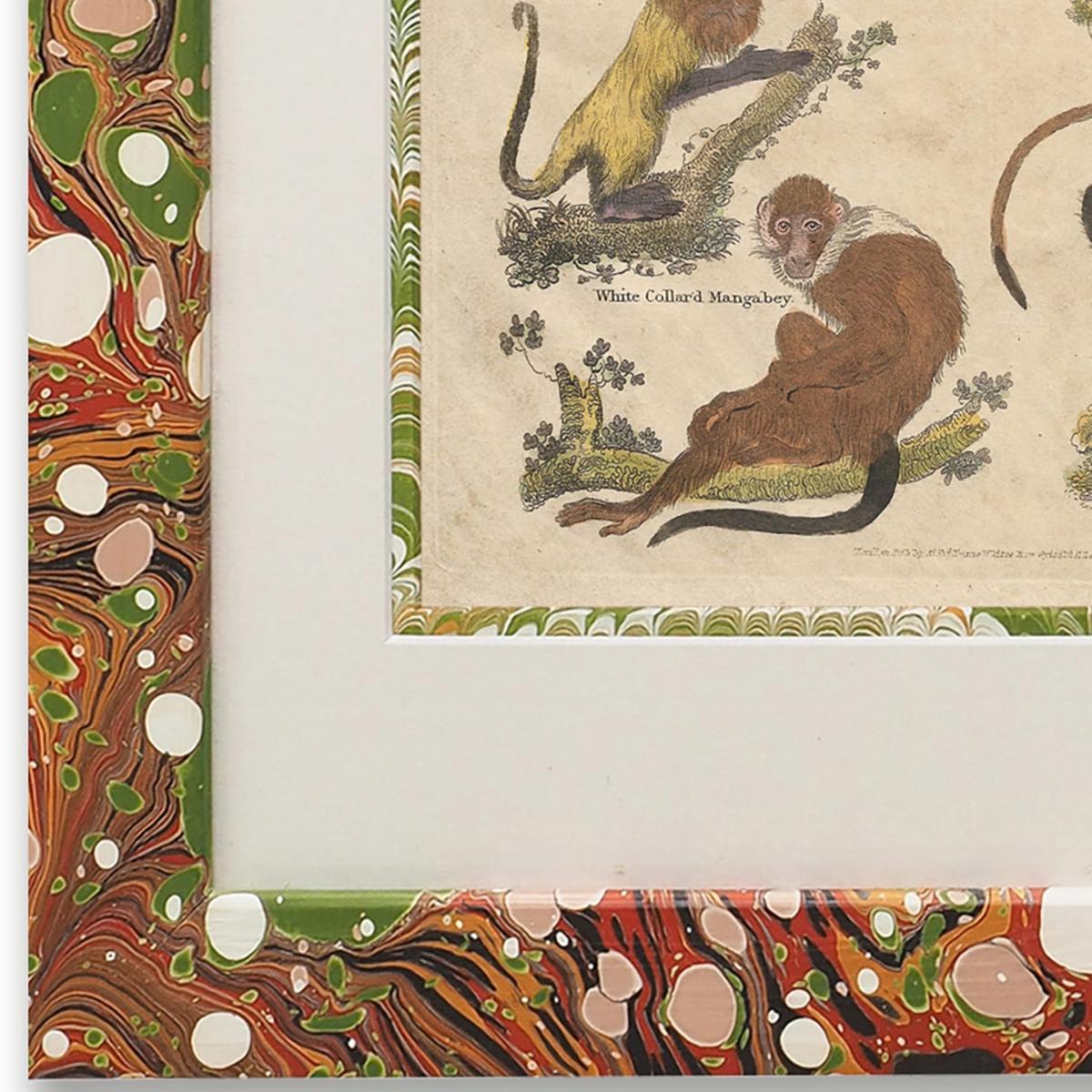 Yellow / Orange / Red Buffon Print No. Fourty In Igneus Frame Wildmore – image 2