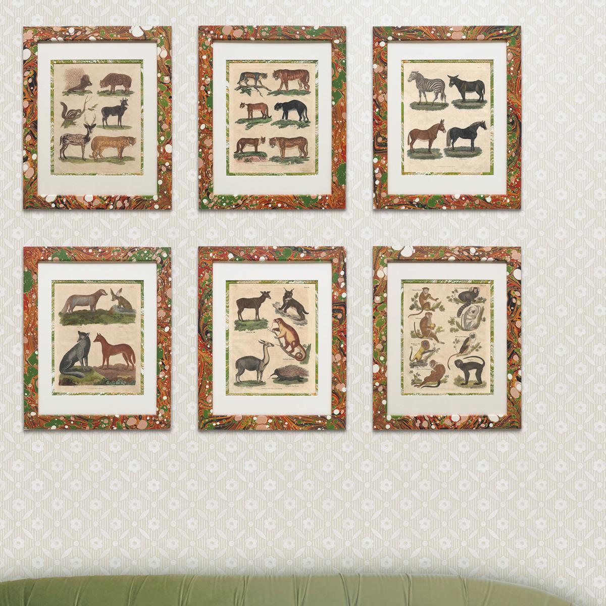 Yellow / Orange / Red Buffon Print No. Fourty In Igneus Frame Wildmore – image 4