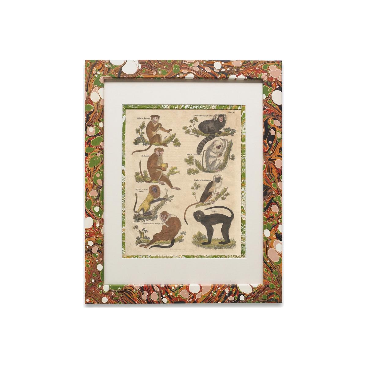 Yellow / Orange / Red Buffon Print No. Fourty In Igneus Frame Wildmore – image 1
