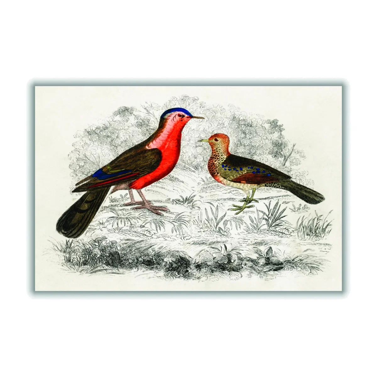 Yellow / Orange Hand Drawn Sketch Of Birds Xxs Stanley Print House – image 1