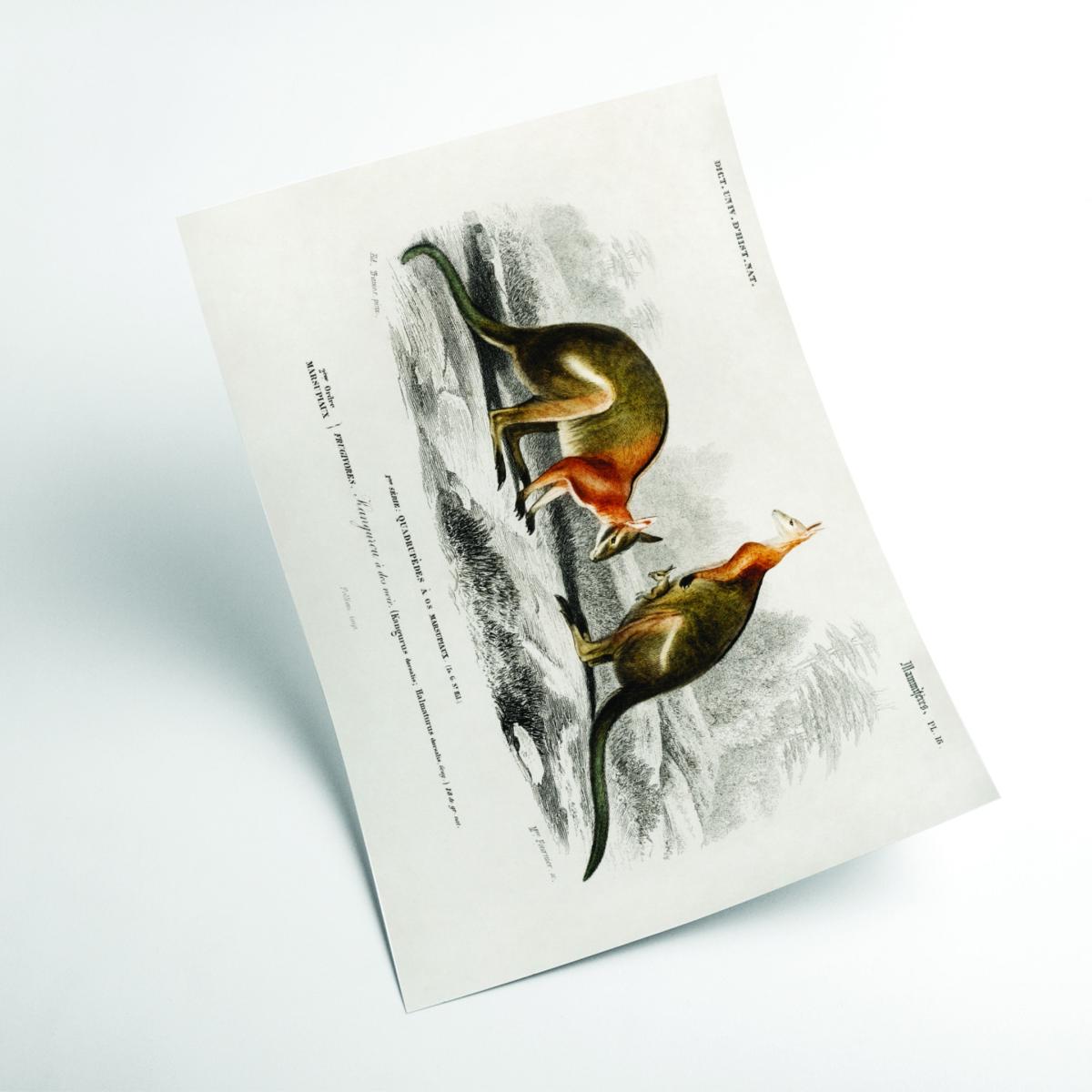 Yellow / Orange Macropus Extra Large Stanley Print House – image 2