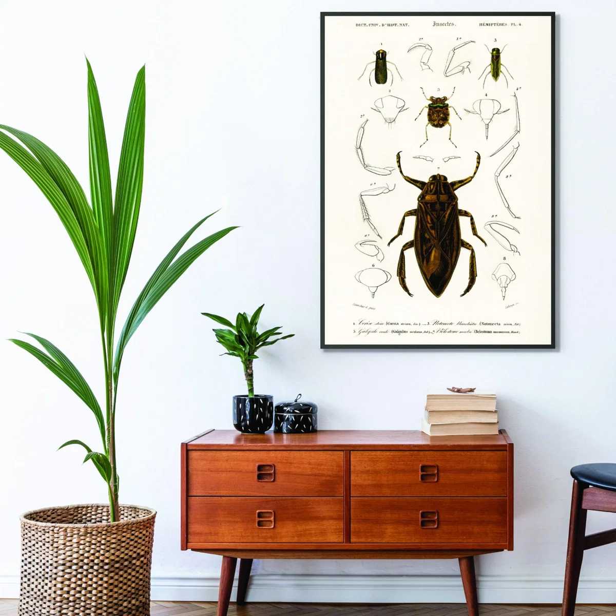 Brown Natural History - Different Types Of Insects 8 Medium Stanley Print House – image 3
