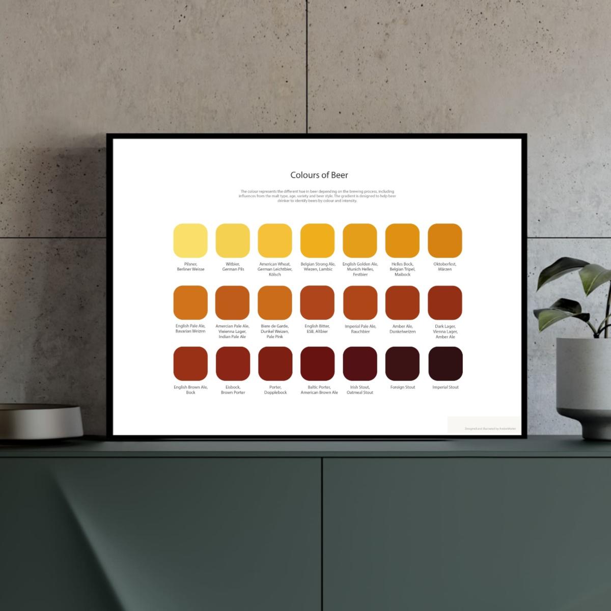 Beer Tasting Colour Map Studio Story – image 2