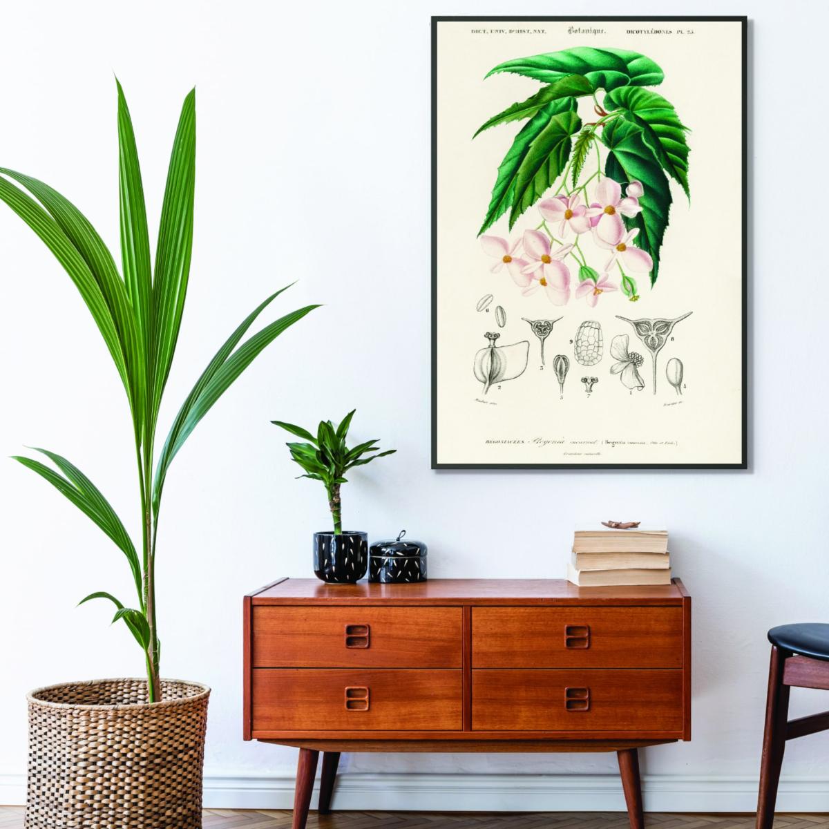 Green Begonia A1 594 X 841Mm Stanley Print House – image 3