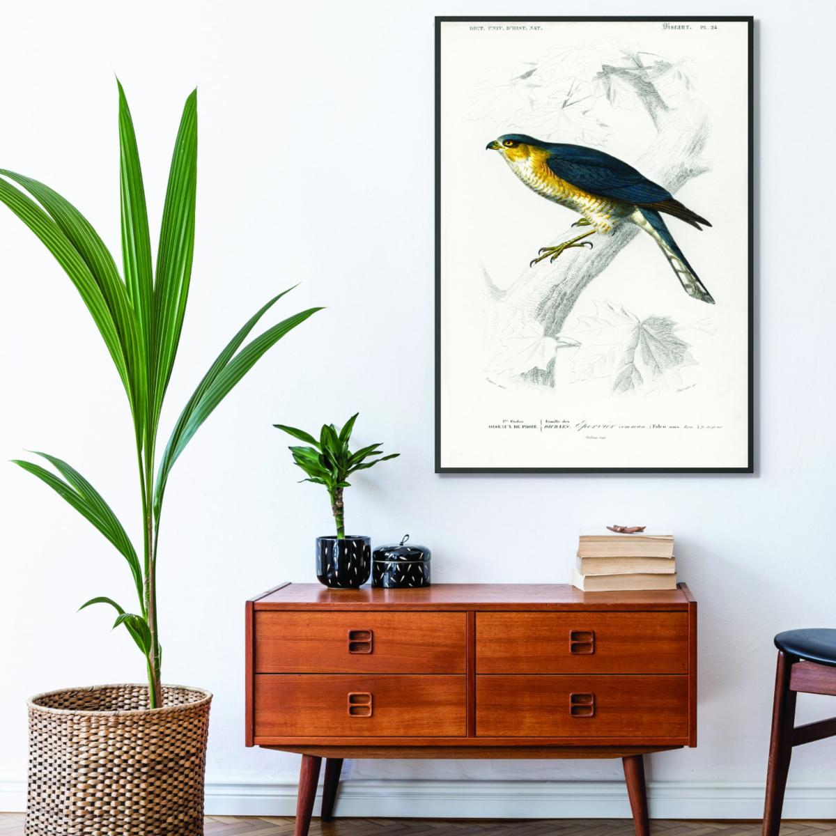 Yellow / Orange Eurasian Sparrowhawk Print A1 594 X 841Mm Stanley Print House – image 3