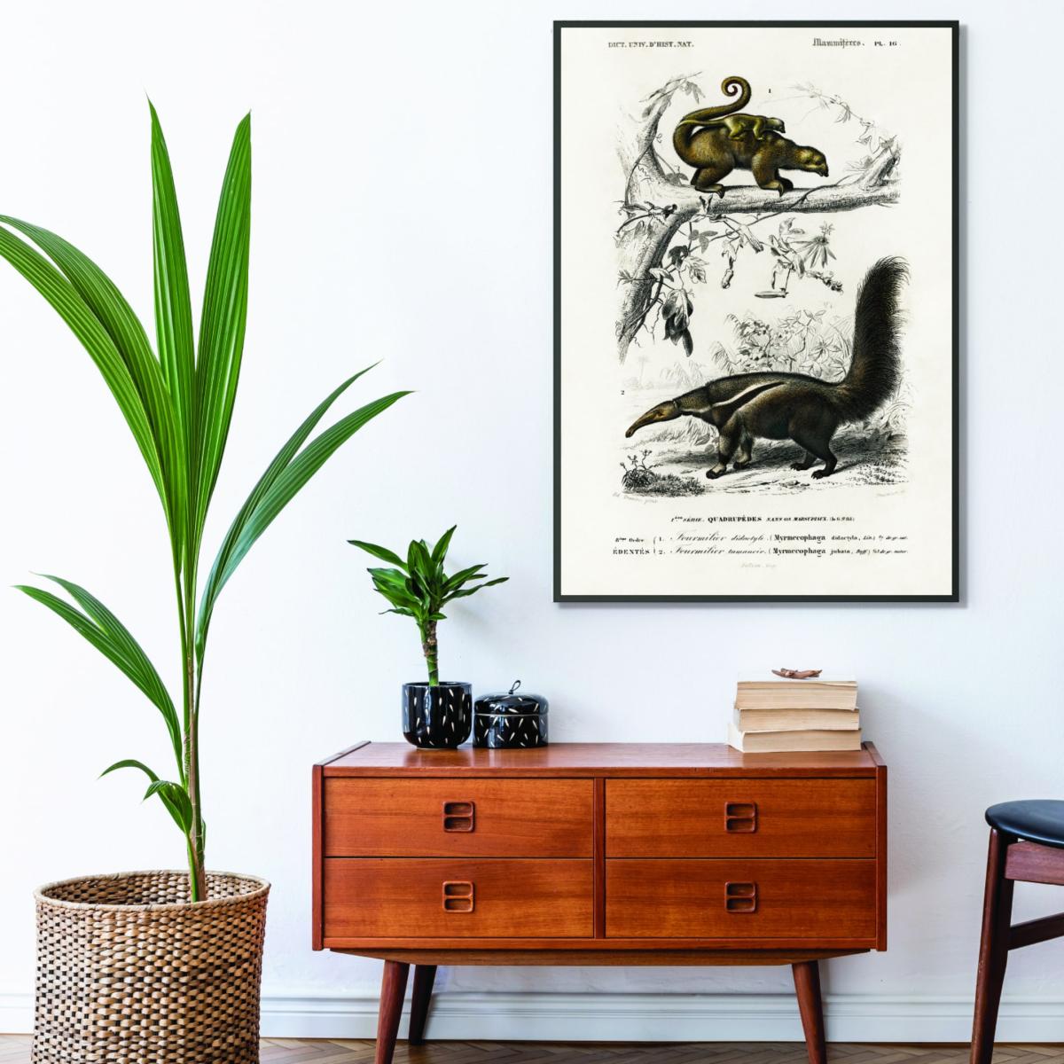 Brown Pygmy Anteater Xxs Stanley Print House – image 3