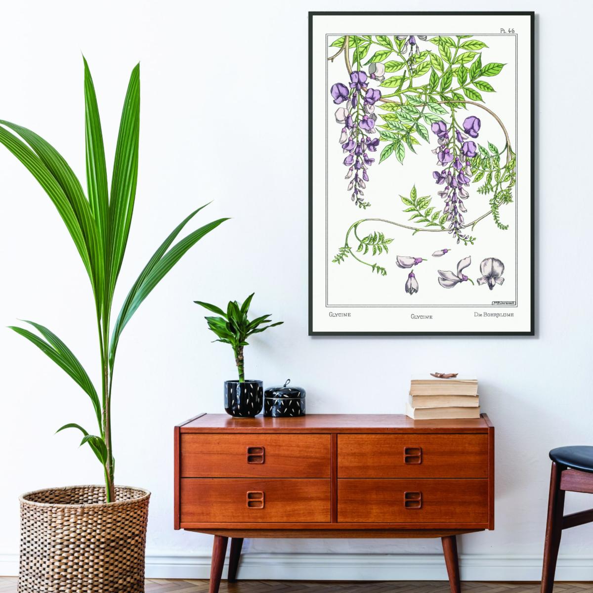 Green Glycine Wisteria Print By Maurice Pillard Verneuil A3 297 X 420Mm Stanley Print House – image 3