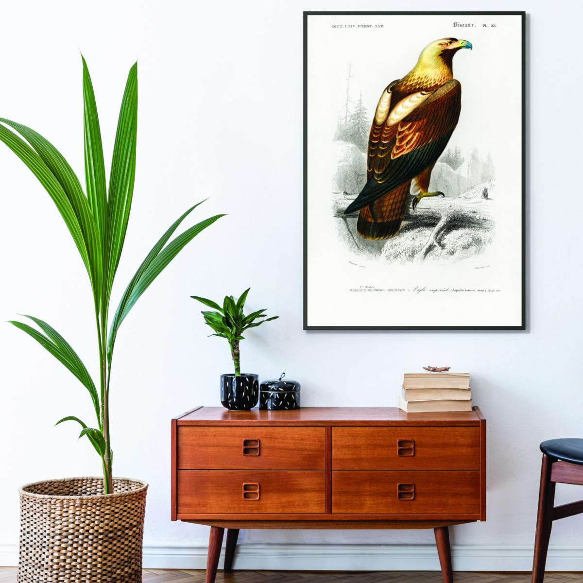Brown Eastern Imperial Eagle Print Xxs Stanley Print House – image 3