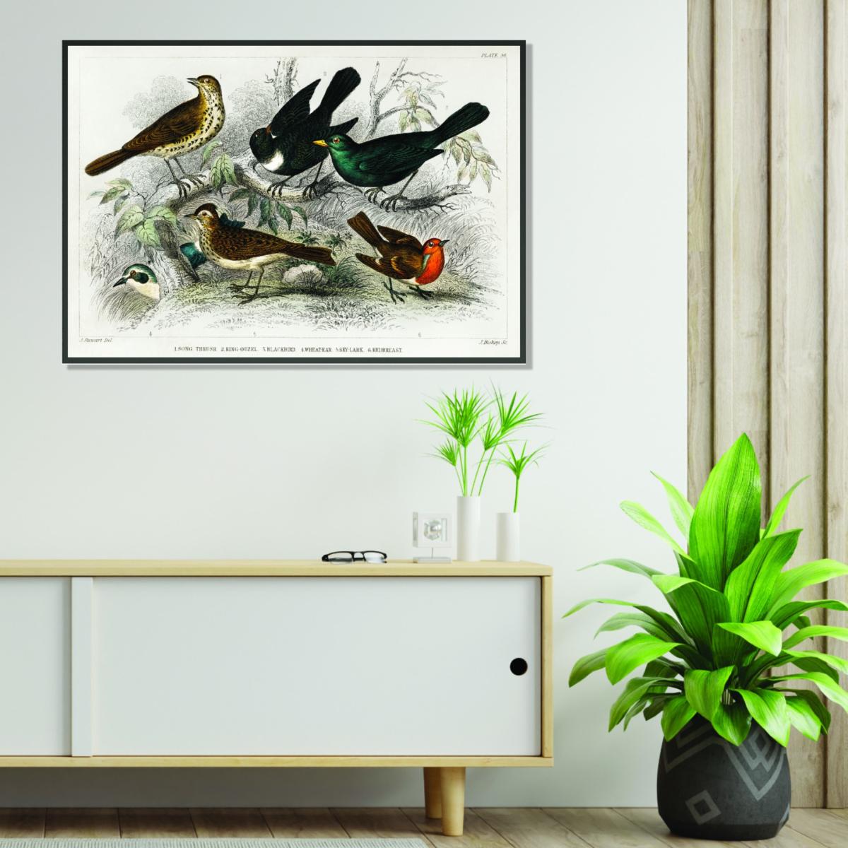 Various Birds Large Stanley Print House – image 3