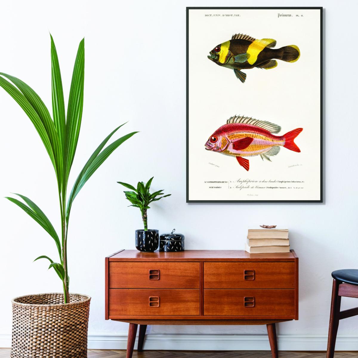 Yellow / Orange Types Of Fish A1 594 X 841Mm Stanley Print House – image 3