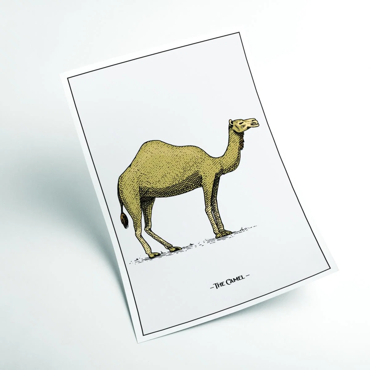 Brown The Camel Xxs Stanley Print House – image 2