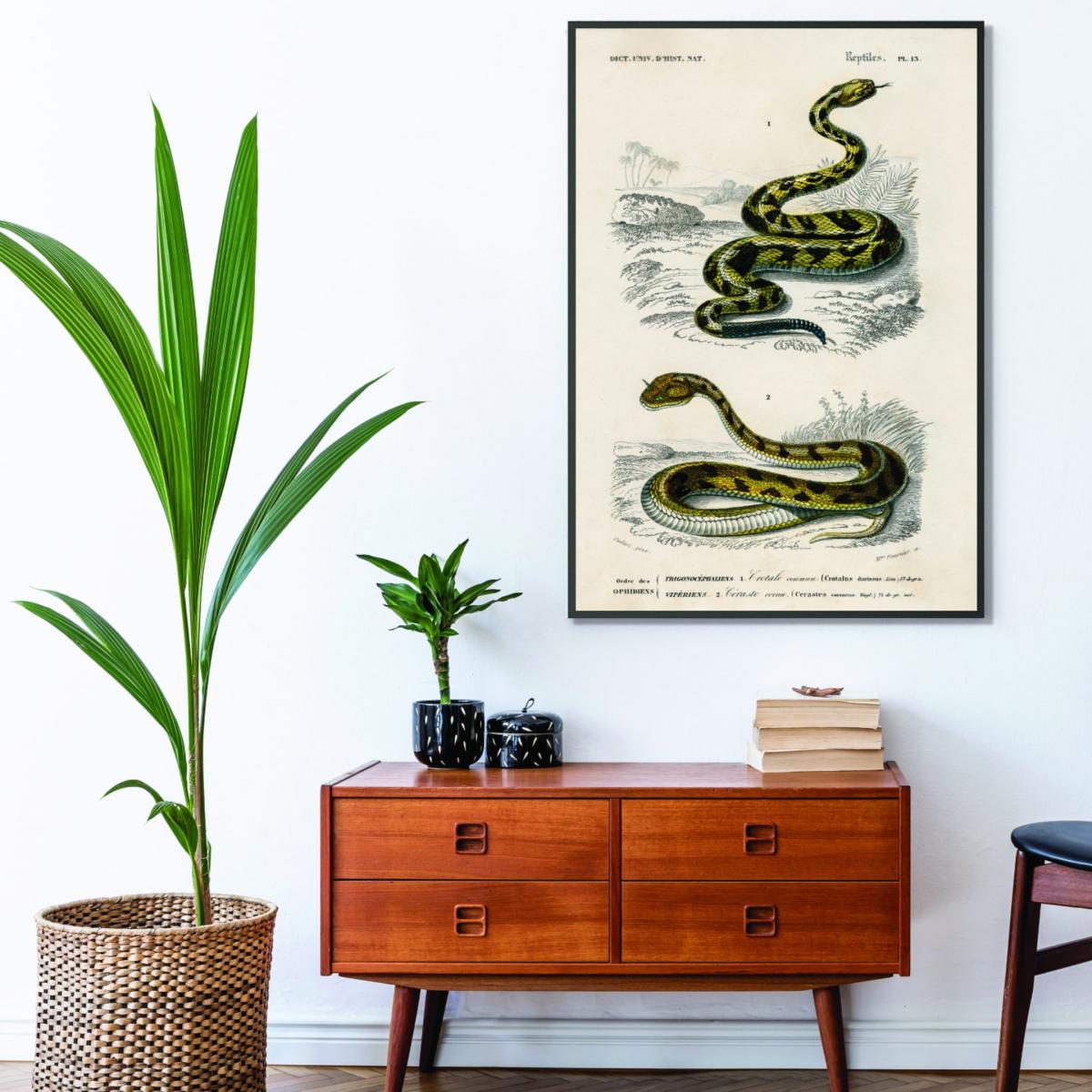 Rattlesnake Green Medium Stanley Print House – image 3