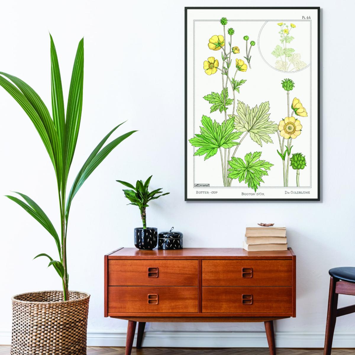 Green Vintage Botanicals - Buttercup Iiii A3 297 X 420Mm Stanley Print House – image 3