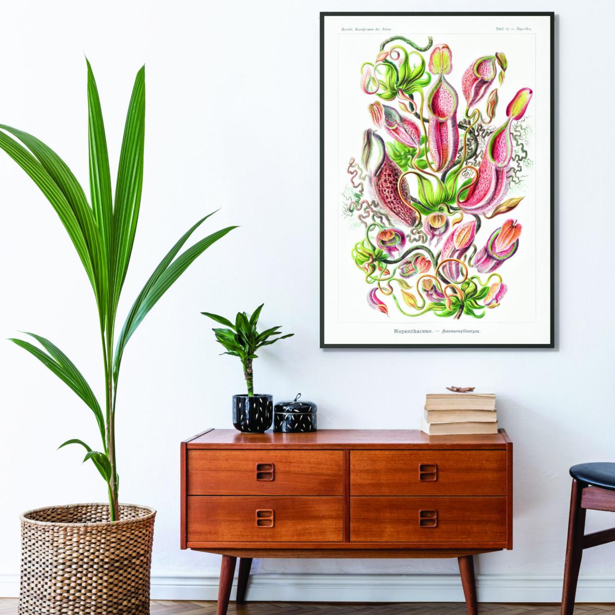 Yellow / Orange Nepenthaceae-Kannenpflanzen By Ernst Haeckel Large Stanley Print House – image 3