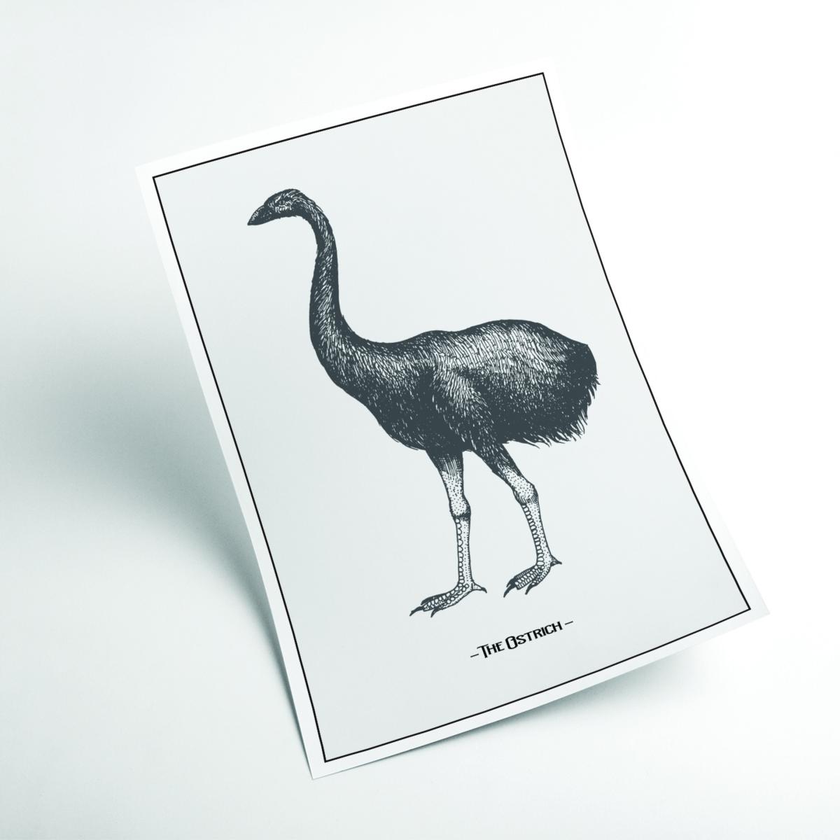 Grey The Ostrich Large Stanley Print House – image 2