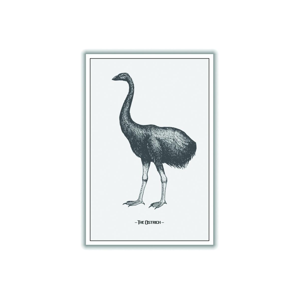 Grey The Ostrich Large Stanley Print House – image 1
