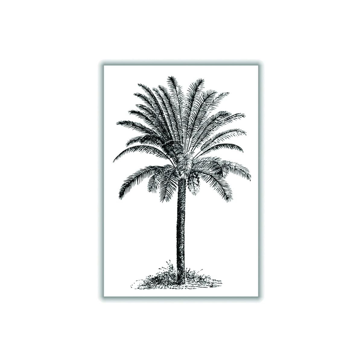 Black Vintage Palm Tree A4 210 X 297Mm Stanley Print House – image 1