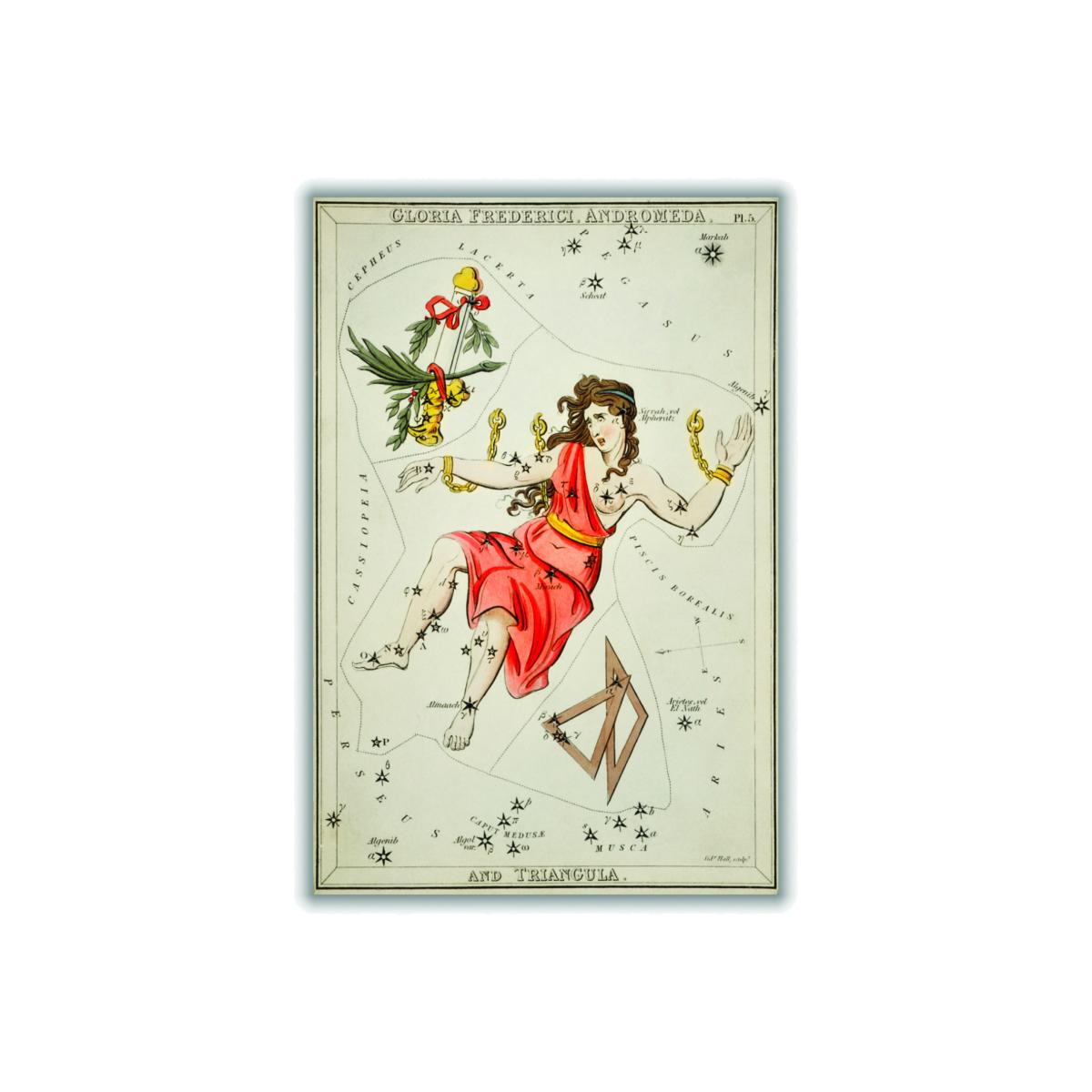 Yellow / Orange Astronomical Chart Illustration Of Gloria Frederici Andromeda A1 594 X 841Mm Stanley Print House – image 1