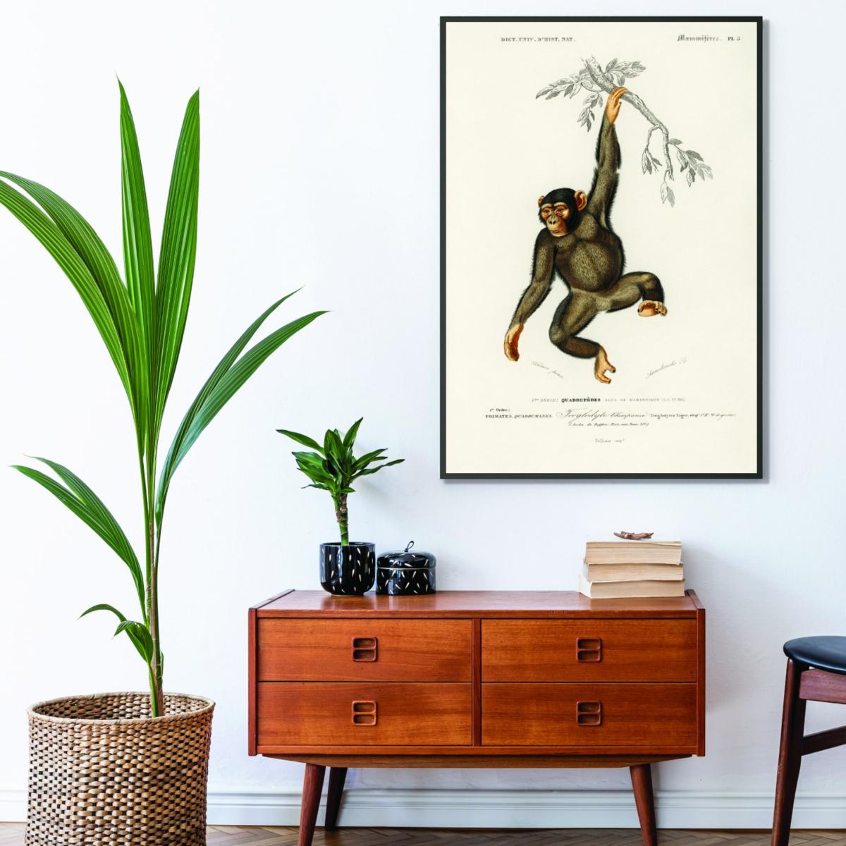 Brown Chimpangze Xxs Stanley Print House – image 3