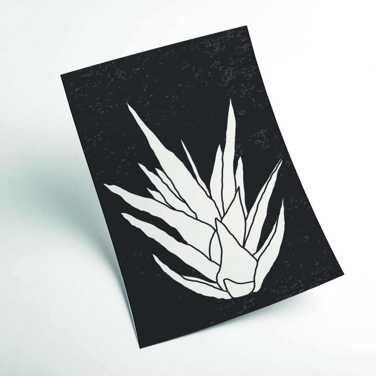 Black Agave #3 A3 297 X 420Mm Stanley Print House – image 2