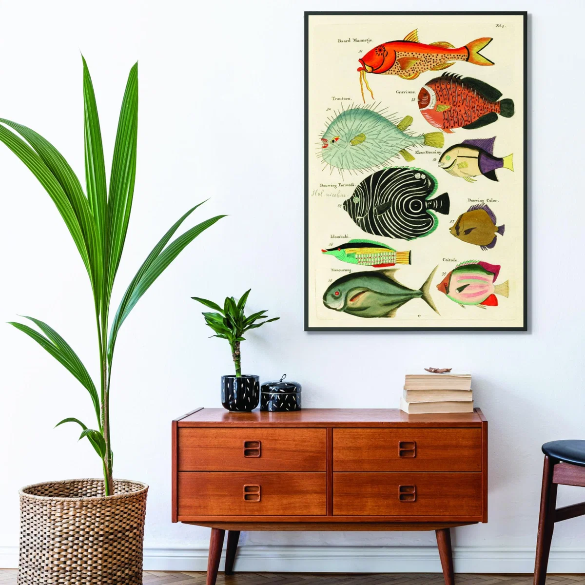 Fish Found In Indonesia A1 594 X 841Mm Stanley Print House – image 3
