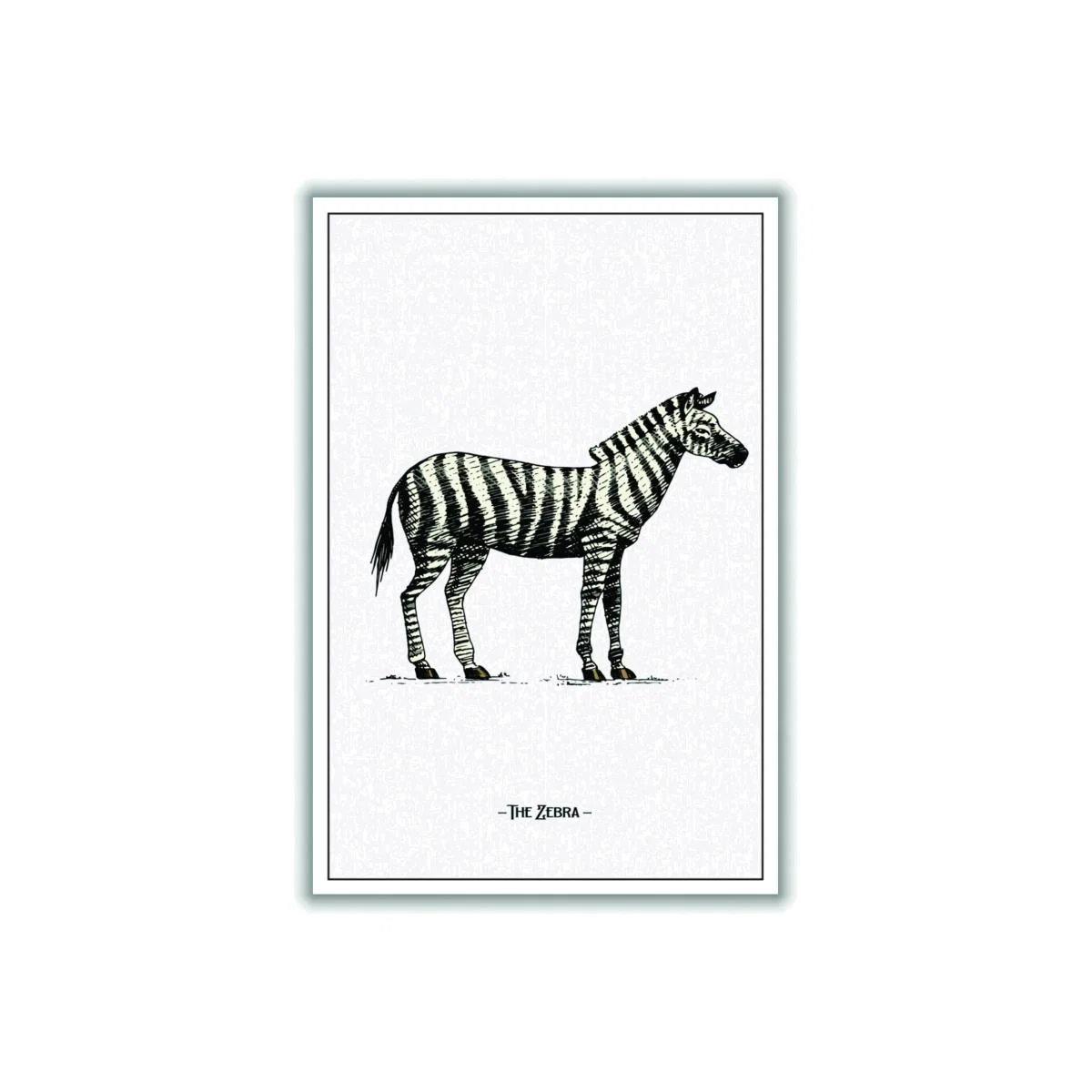 Black The Zebra A2 420 X 594Mm Stanley Print House – image 1