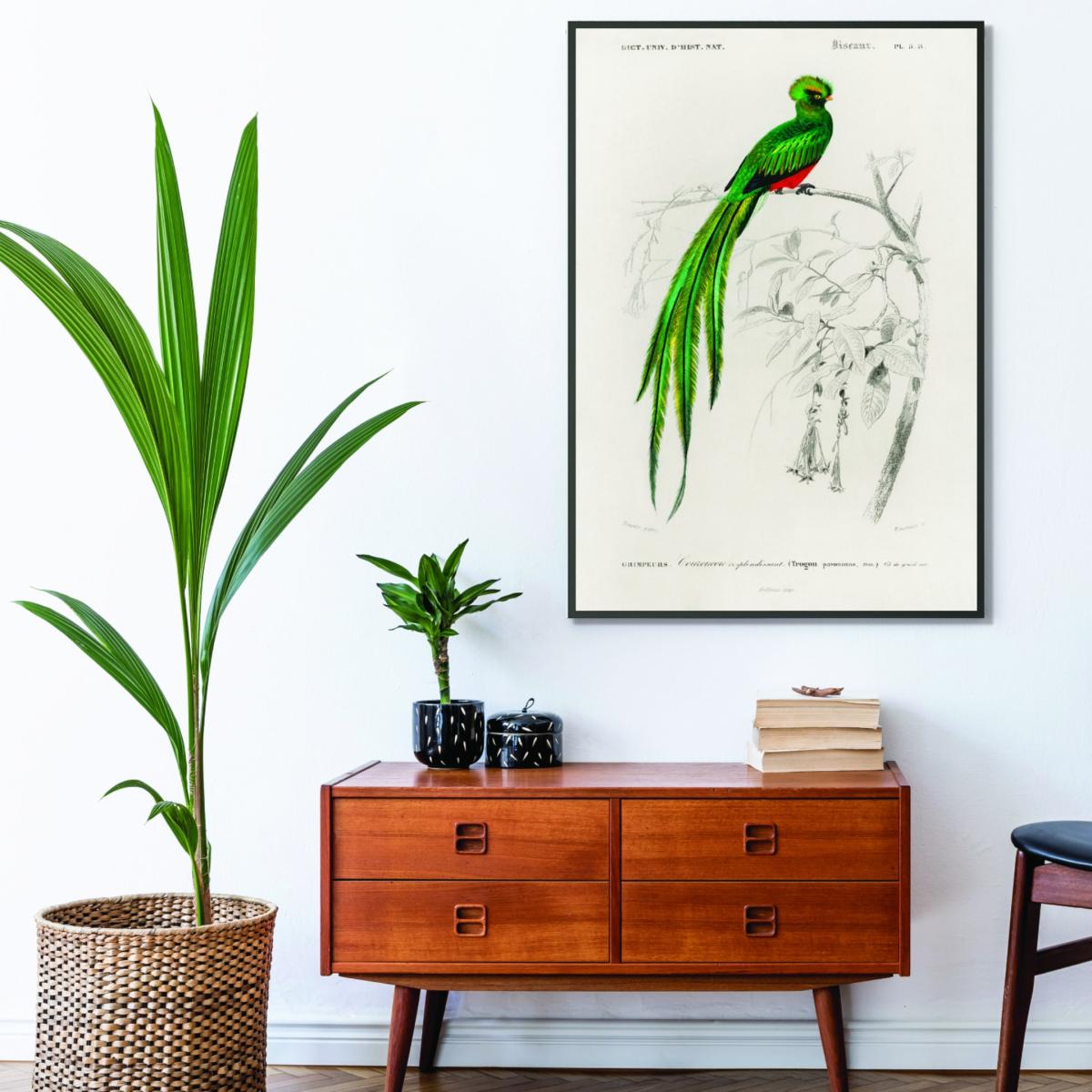 Green Pavonine Quetzal Xxs Stanley Print House – image 3